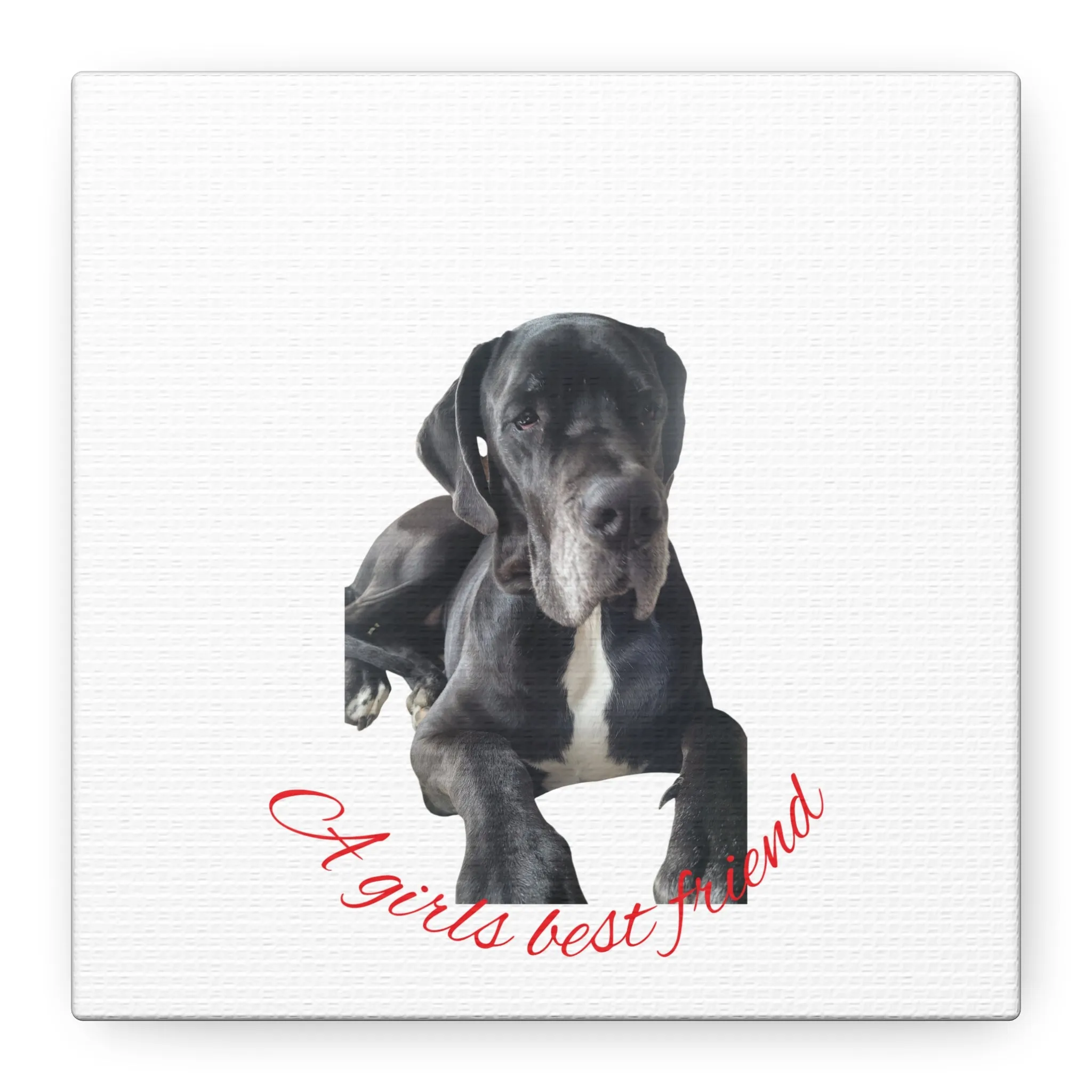 Personalized Dog Portrait Canvas Art - Custom Matte Wall Decor