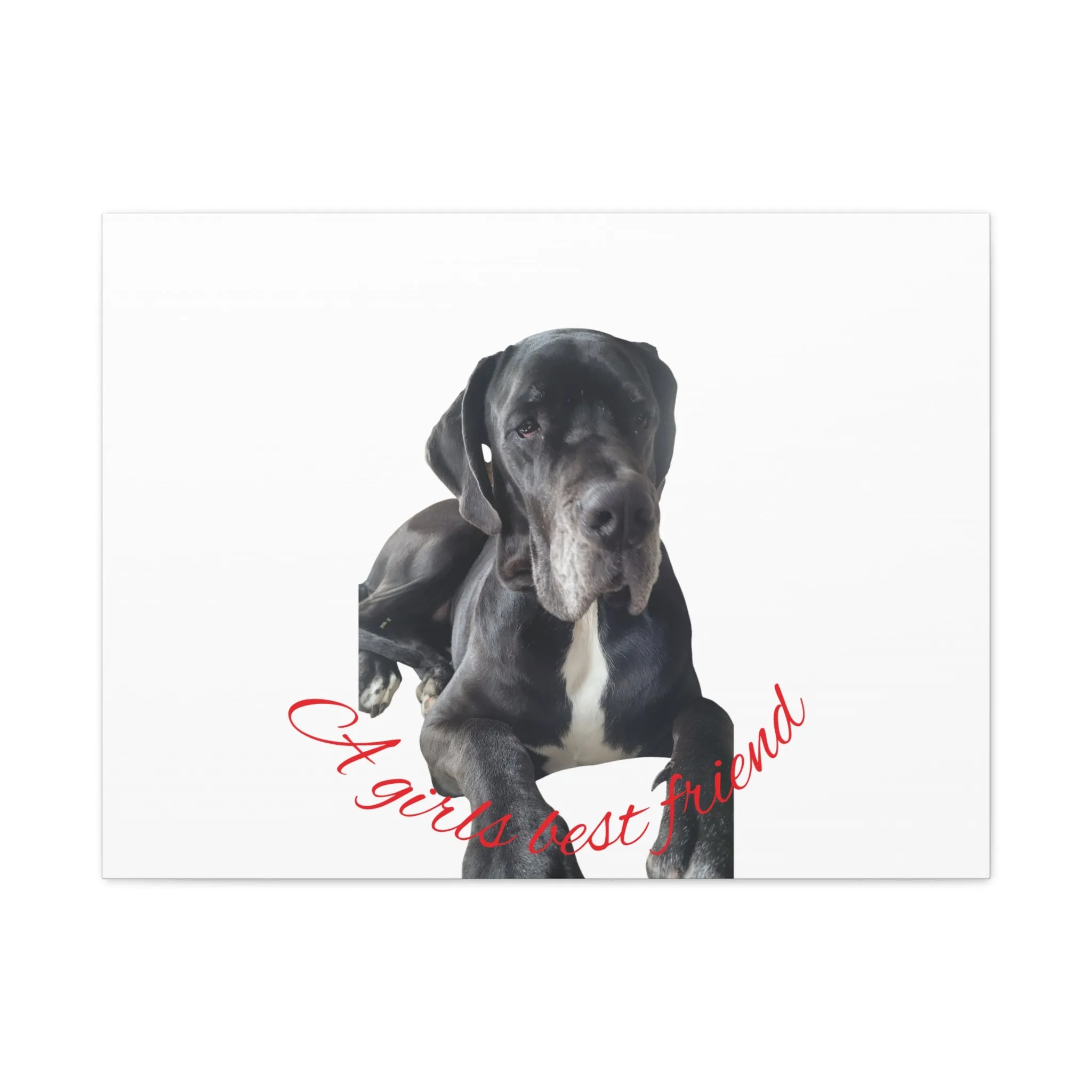 Personalized Dog Portrait Canvas Art - Custom Matte Wall Decor
