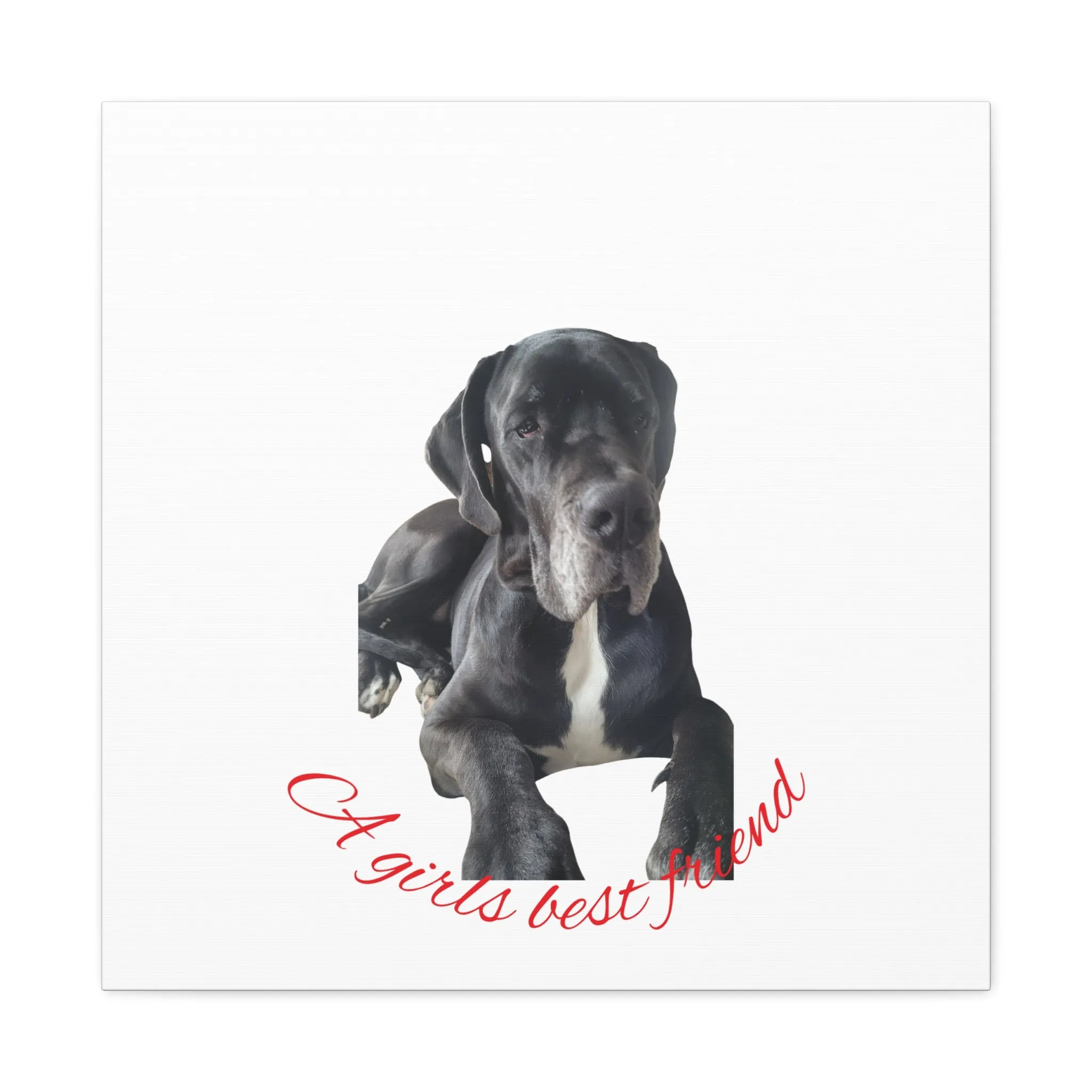 Personalized Dog Portrait Canvas Art - Custom Matte Wall Decor