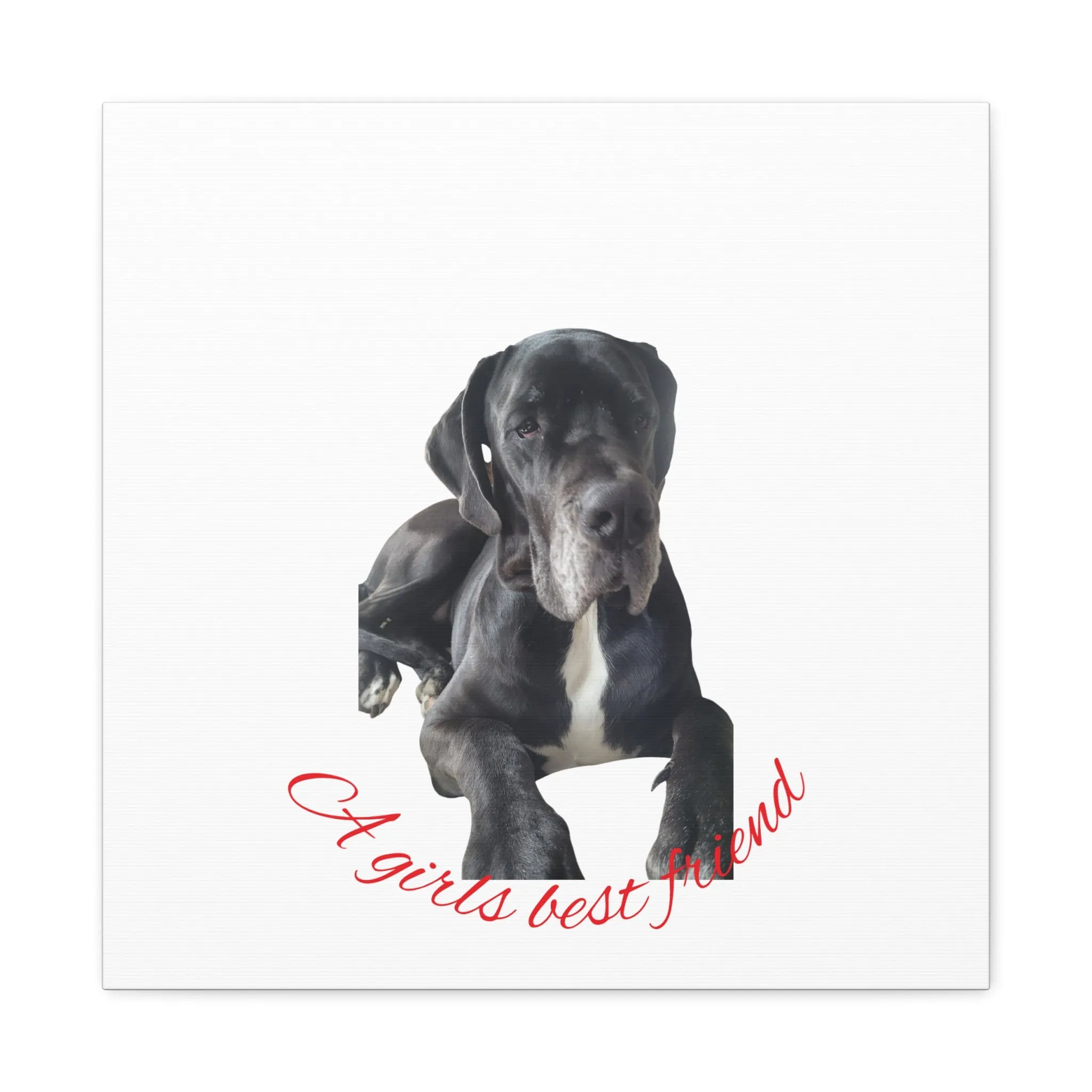 Personalized Dog Portrait Canvas Art - Custom Matte Wall Decor