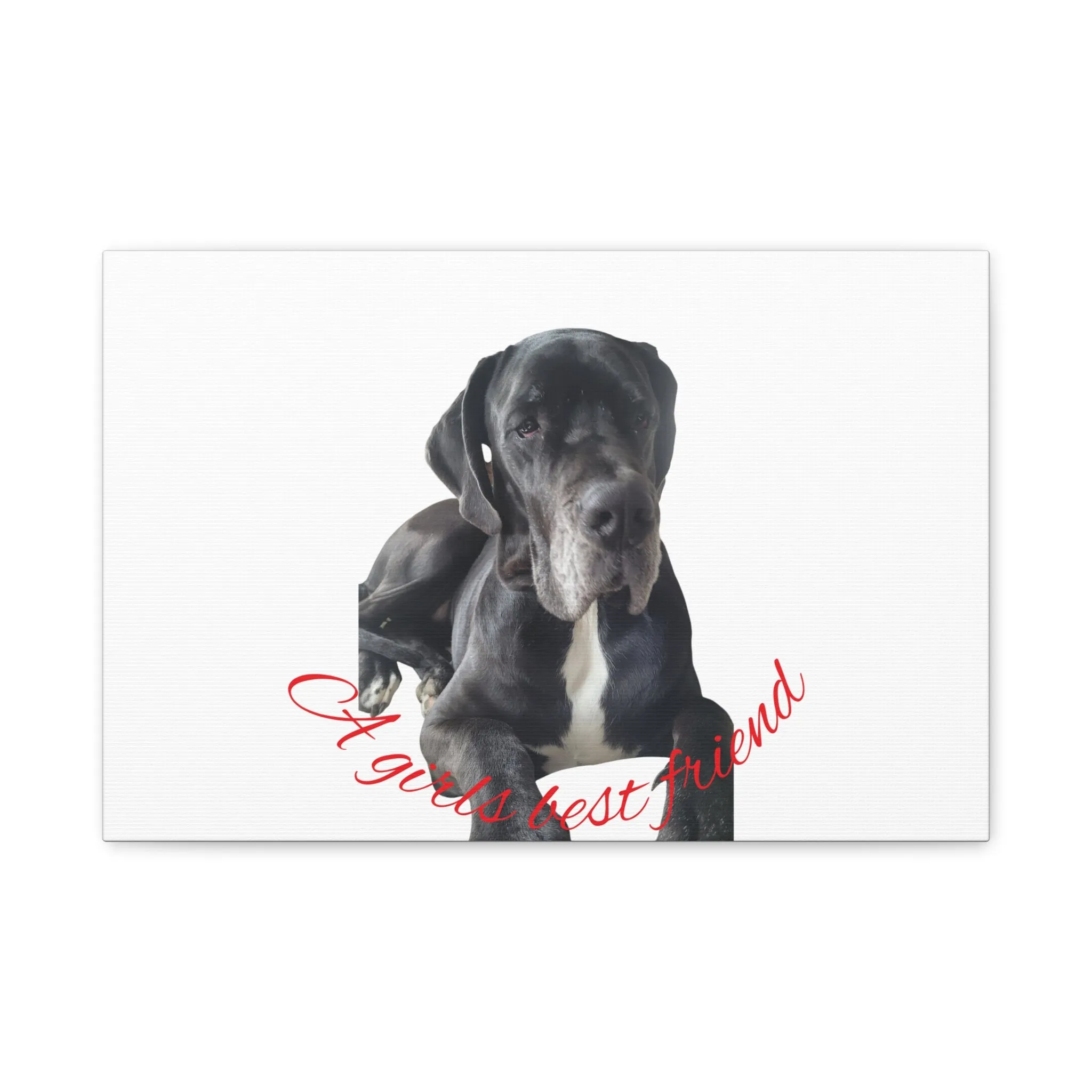 Personalized Dog Portrait Canvas Art - Custom Matte Wall Decor