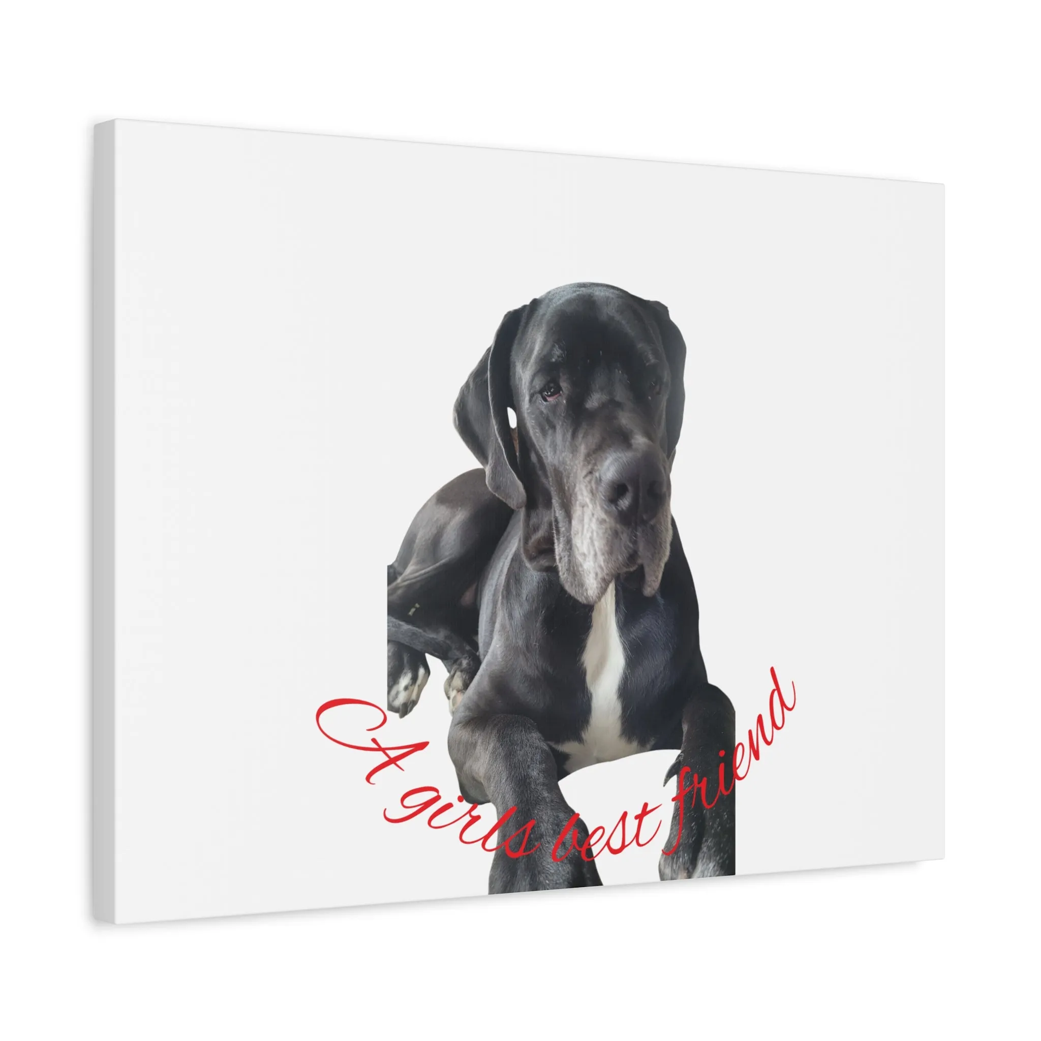 Personalized Dog Portrait Canvas Art - Custom Matte Wall Decor