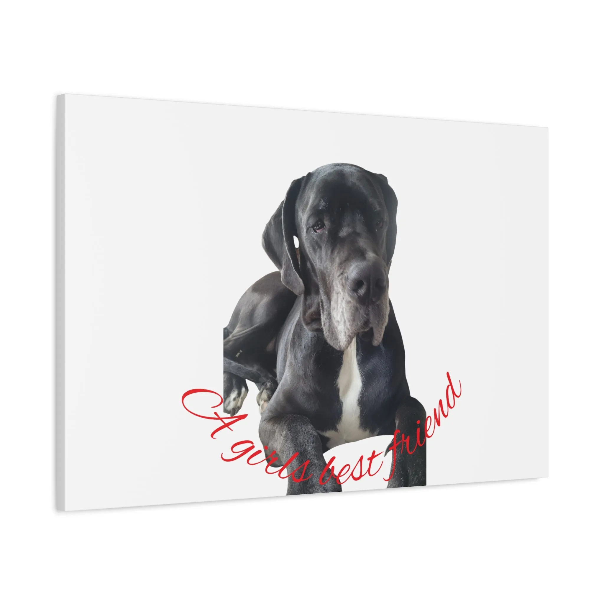 Personalized Dog Portrait Canvas Art - Custom Matte Wall Decor