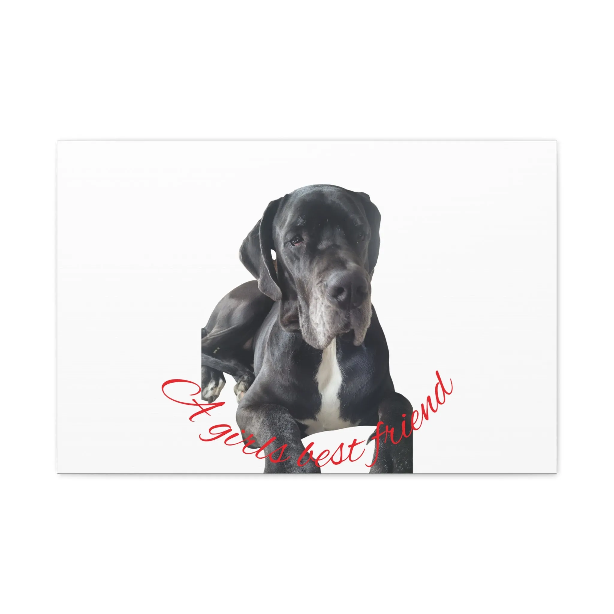 Personalized Dog Portrait Canvas Art - Custom Matte Wall Decor