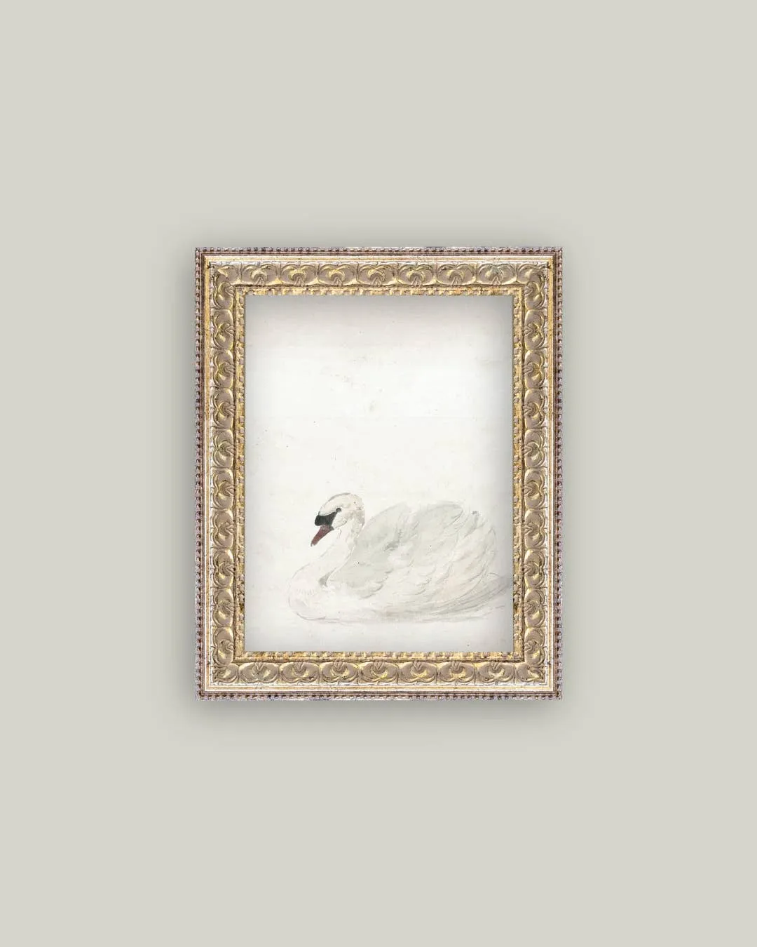 Swan Framed Art Print