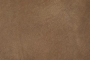Toggle Stone