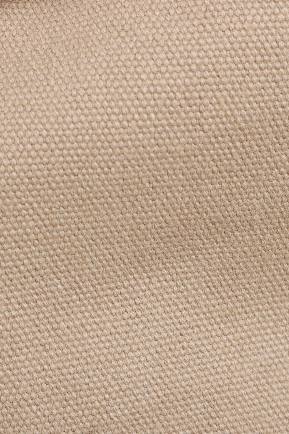 Twill Canvas Travel Backpack
