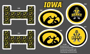 UNIVERSITY OF IOWA-Collegiate Pillow Project-100% Polyester Minky-IA1359